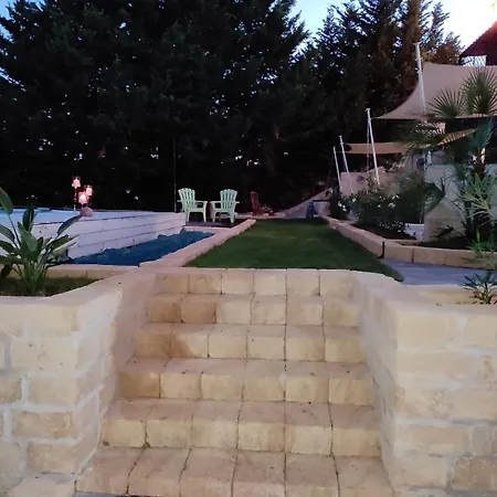 Casa Avocado *